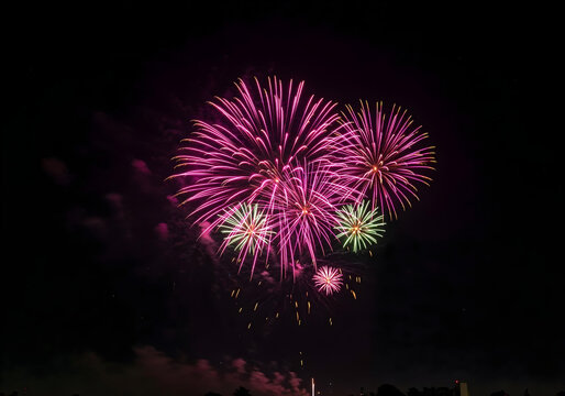 Bright pink fireworks explode in the night sky. - Powered by Adobe