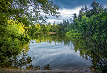 A serene lake reflects the lush green trees surrounding it. Vibrant foliage and a clear sky create a peaceful natural scene.