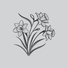 Daffodil Decorative Floral Scene Black and White