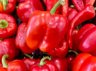 Red kapia peppers in crate
