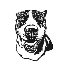 Tiger head vector illustration of a wild animal face design suitable for logo tattoo or tribal art