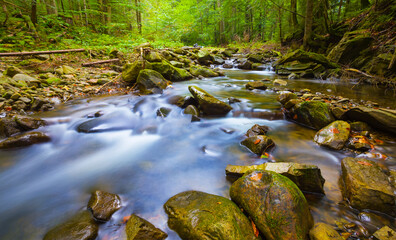 small mountain brook rushing through canyon over a stones