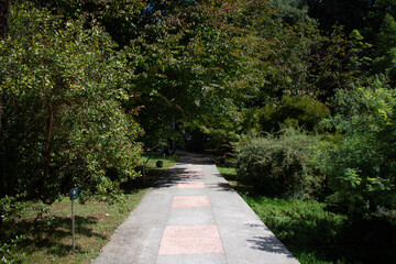 path in the park