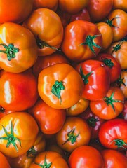 Ripe Fresh Tomato Cluster Still Life Food Category Close Up