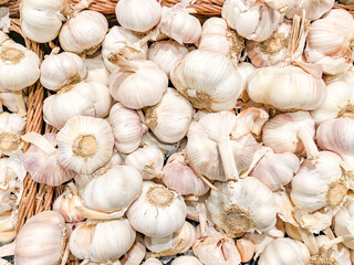 Close Up of Many Fresh Garlic Bulbs in a Woven Basket