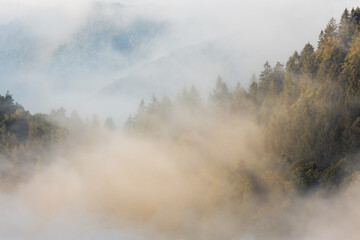 Burgruine Meistersel über einem Nebelmeer mit Hügeln im warmen Licht der ersten Sonnenstrahlen
