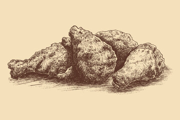 Fried chicken illustration in a vintage style. This vector illustration can be used in any size you like for advertising, logos, and other work.