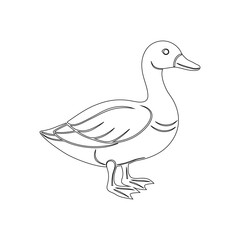 duck vector illustration
