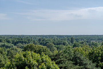 widok z punktu widokowego w muzeum puszczy białowieskiej na puszcze oraz lasy i bory po stronie Białoruskiej, 