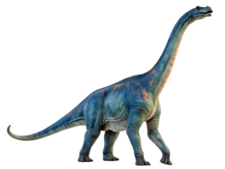 Majestic Brachiosaurus Dinosaur Isolated on white background, isolated on transparent background