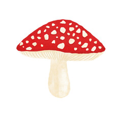 Hand Drawn Digital Painted Mushroom Illustration