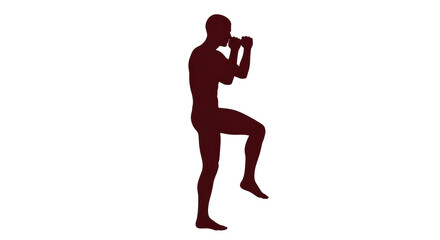 Isolated Muay Thai Silhouette