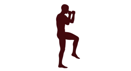 Isolated Muay Thai Silhouette
