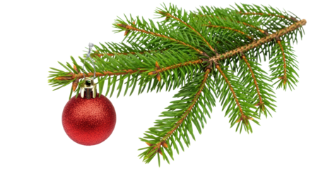 Isolated Christmas Tree Branch with Ornament