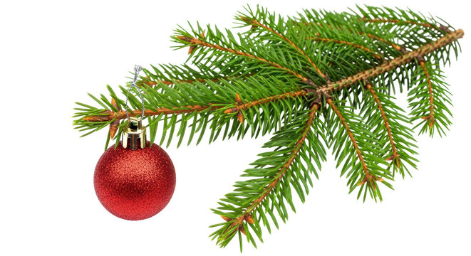 Isolated Christmas Tree Branch with Ornament - Powered by Adobe