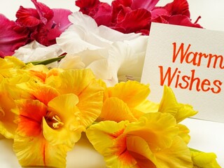 Red, yellow and white  gladioluses and a card with short phrase " Warm Wishes"  lie on white fabric