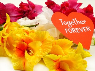 Red, yellow and white  gladioluses, a card in form heart with short phrase " Together Forever" on white board