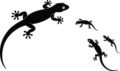 Silhouette of geckos on white background, isolated reptile lizard illustration, wildlife animal design, crawling geckos vector, black lizard artworkSilhouette