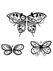 Edgy minimalist hand-drawn insect sketches pack