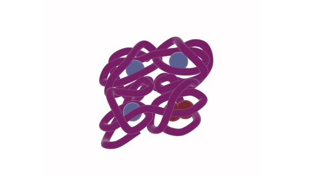 Hemoglobin structure, 3D model, white background
