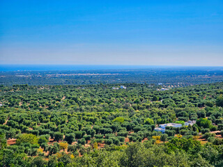Umbrian landscape, subasio mountain, hills and wineyards. Summer landscape with huts. Matanzas district. Aerial drone view over spring plain landscape. Village with a birds eye view.