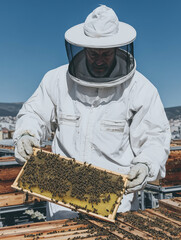 A beekeeper in protective gear harvesting honey on a bee farm. Honey collection and beekeeping.
