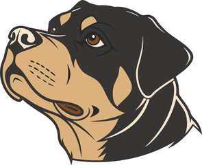 Fototapeta premium Rottweiler portrait, bold black and tan dog head, sturdy guard breed drawing. Dog sketch, perfect animal art and breed logo graphic.