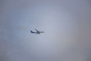 Commercial Aircraft Soaring Through a Muted, Overcast Sky