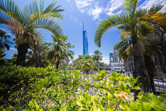 Kuala Lumpur, Malaysia &ndash; 16 September 2025: Merdeka 118 soars behind palm trees from national mosque park under a bright blue sky, Second tallest building of the world among tropical greenery. 