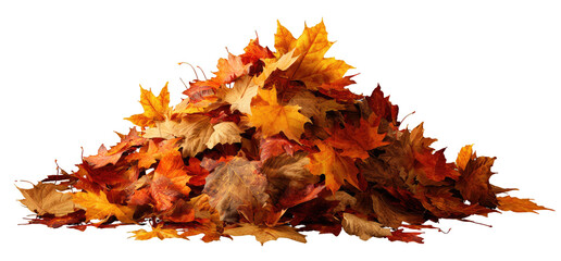 A pile of vibrant autumn leaves