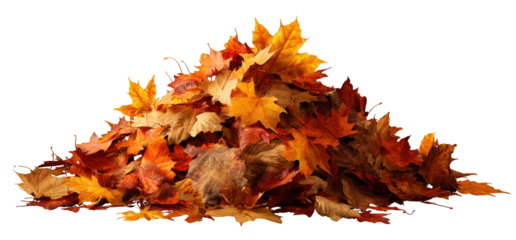 A pile of vibrant autumn leaves