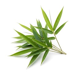 Fototapeta premium Fresh bamboo leaves, vibrant green and glistening with water droplets, are arranged artfully against a pure white background.