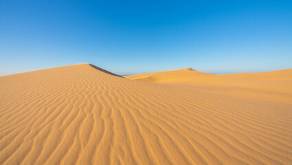 Serene Desert Landscape of Golden Sand Dunes and Clear Blue Sky in a Sunny Day