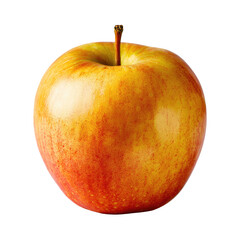 Single, whole, red and yellow apple, studio shot
