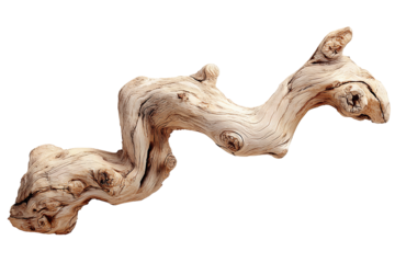 Weathered driftwood branch with curved shape, bleached surface and natural knot textures, isolated on transparent background.
