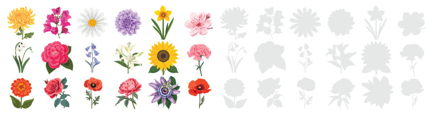 Beautiful botanical flower collection withdaisy, dahlia, daffodil, cherry blossom, carnation, passionflower, camellia, lily, rose, poppy, peony, zinnia and more blossoms for garden illustration design