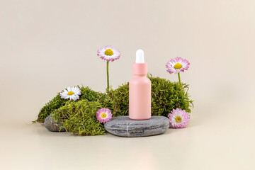 bottle of essential oil with a pipette and daisy flowers on a stone podium next to moss on a beige background. The concept of skin care using natural cosmetics