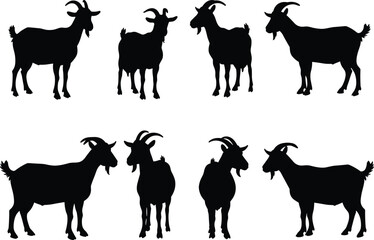 Goat silhouettes collection, standing farm animal vector illustration, domestic livestock design elements, black and white graphic icons, agriculture, countryside, nature, farming, goat art