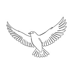 Obraz premium Hand-drawn flying bird outline