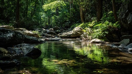 Naklejka premium stream. Sunlit forest stream with dappled light reflecting off crystal clear water over rocks. travel magazines, destination branding, designed for travel destination branding, used by researchers.