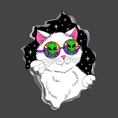 psychedelic groovy white cat in sunglasses, space cool trip