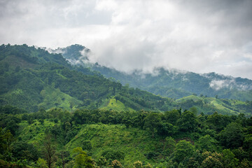 Fototapeta premium Rolling hills under a dramatic cloudy sky. Toma Tungi is a tourist complex and viewpoint in Thanchi, Bandarban, Bangladesh. Overcast Mountain Landscape A Lush Green Terrain Under a Cloudy Sky.