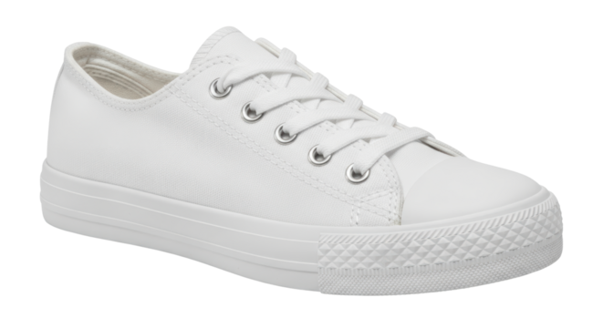 Isolated White Canvas Shoe