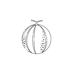 Simple Black and White Outline of Cantaloupe Fruit