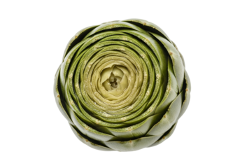 Close-up of an artichoke head, showcasing its intricate layers and vibrant green hue against a stark black background.