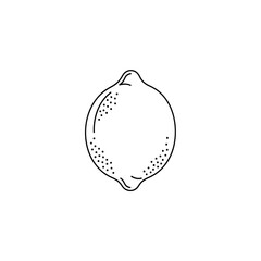 Simple Lemon Outline with Dots, Fresh Citrus Fruit Illustration