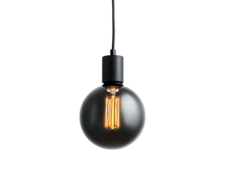Vintage edison light bulb hanging from cord isolated on transparent background