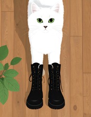 White cat wearing boots on a wooden floor