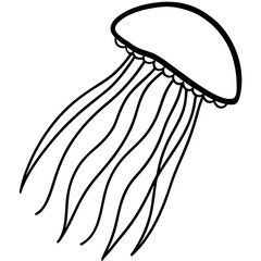Comb Jelly line art vector