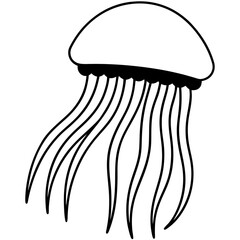 Comb Jelly line art vector